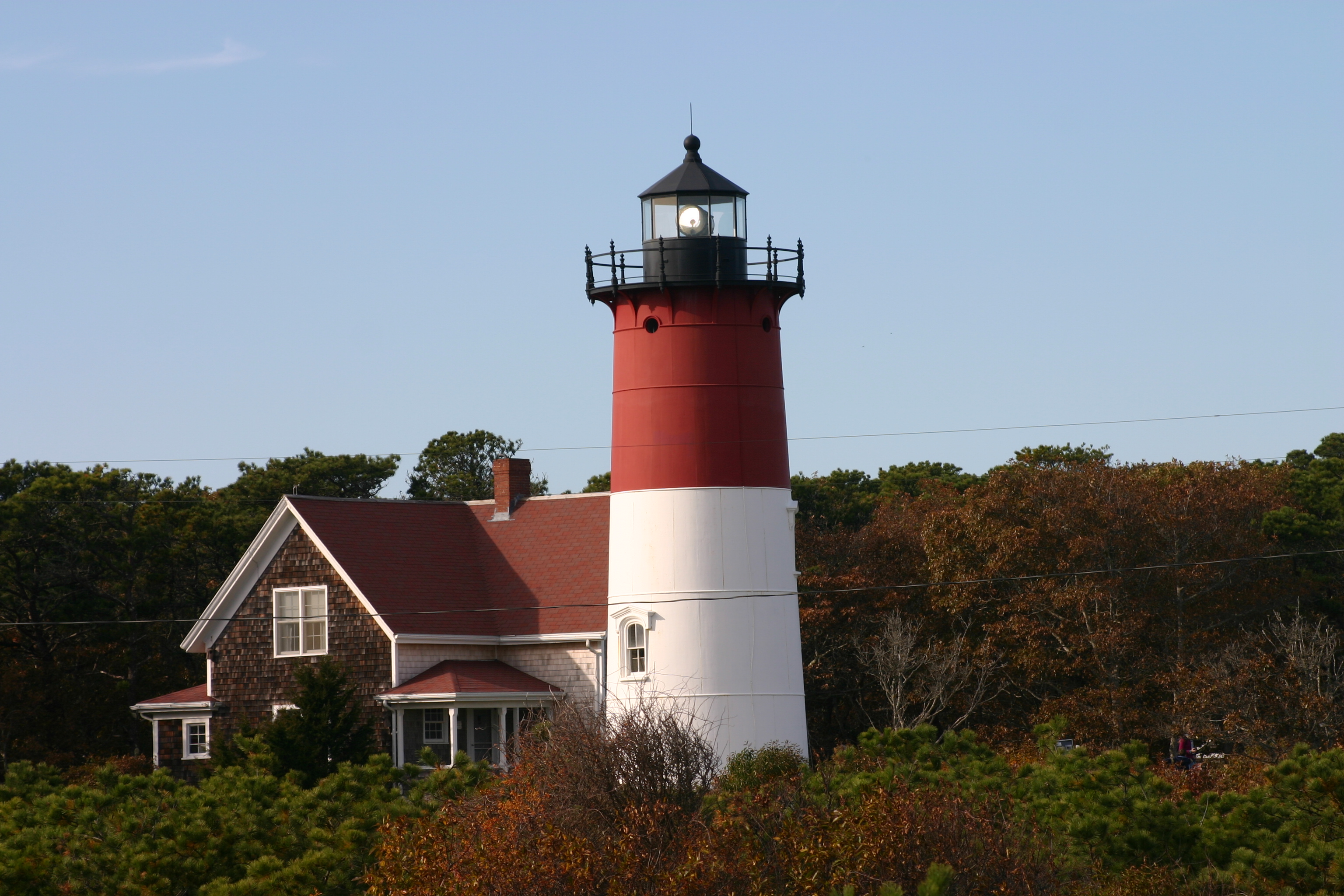 Avatar for Cleaning to Perfection